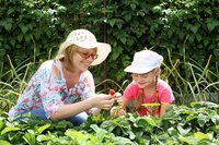 Kindvriendelijke tuin