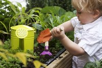 Wat te doen in de tuin in april?